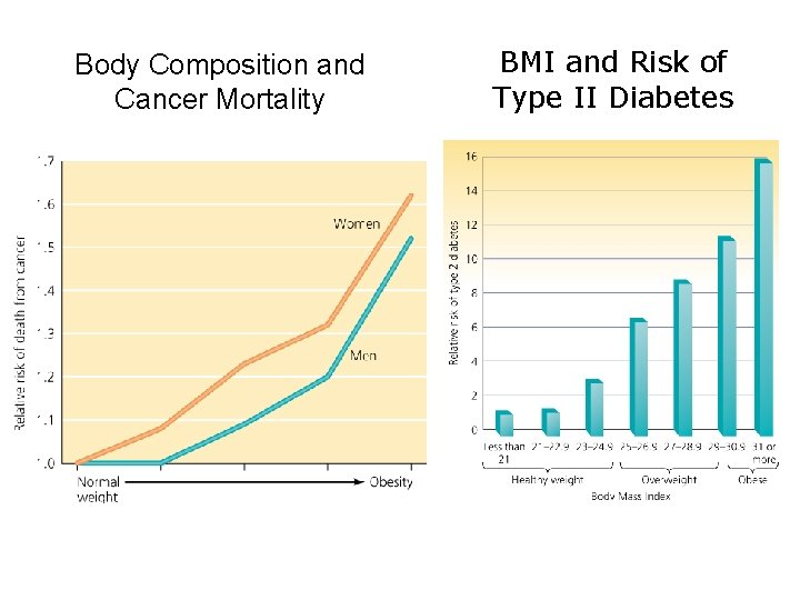 Body Composition and Cancer Mortality BMI and Risk of Type II Diabetes 