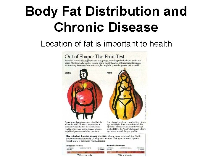 Body Fat Distribution and Chronic Disease Location of fat is important to health 