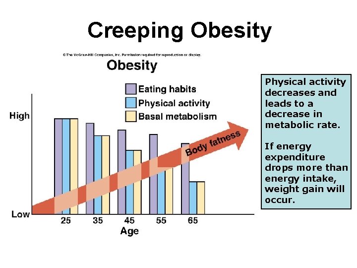 Creeping Obesity Physical activity decreases and leads to a decrease in metabolic rate. If