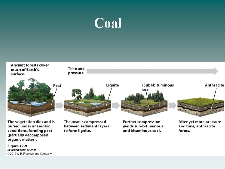Coal 