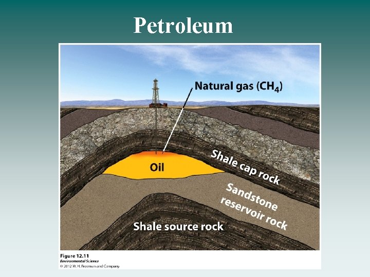 Petroleum 