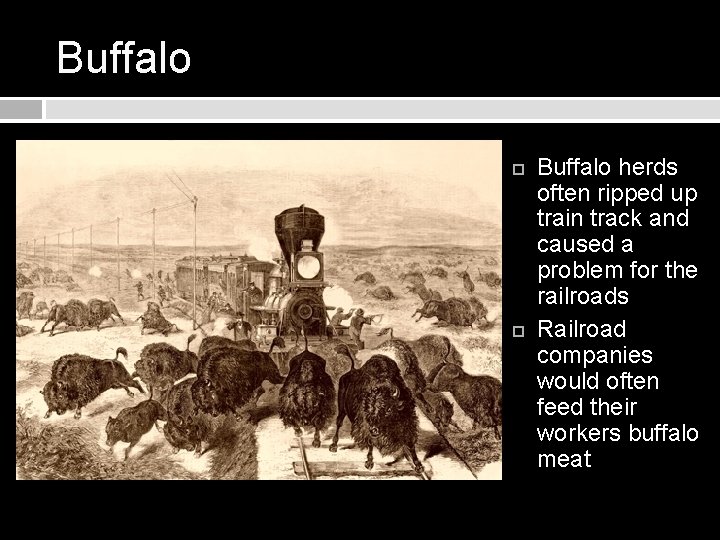 Buffalo herds often ripped up train track and caused a problem for the railroads