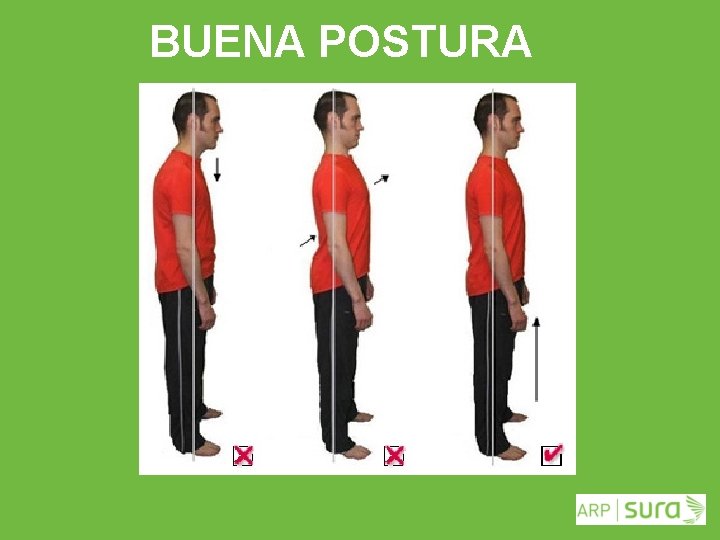 BUENA POSTURA ARP SURA 