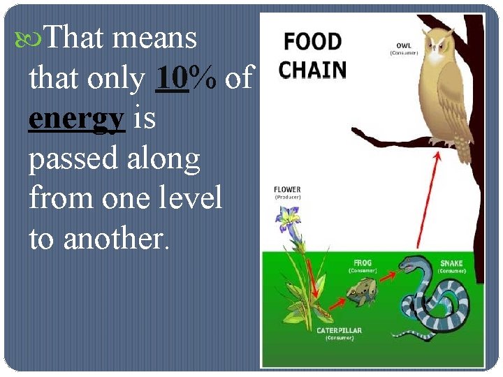  That means that only 10% of energy is passed along from one level