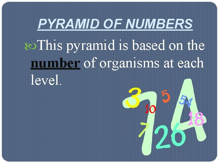 PYRAMID OF NUMBERS This pyramid is based on the number of organisms at each