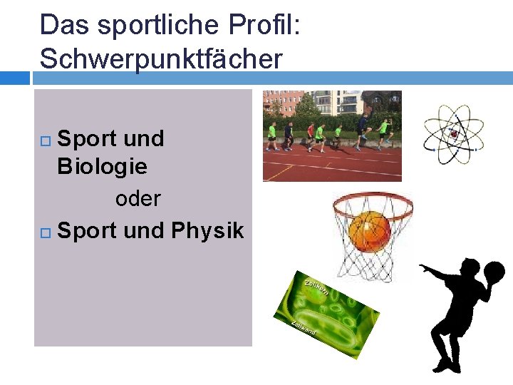 Das sportliche Profil: Schwerpunktfächer Sport und Biologie oder Sport und Physik 