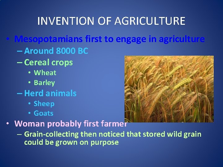 INVENTION OF AGRICULTURE • Mesopotamians first to engage in agriculture – Around 8000 BC