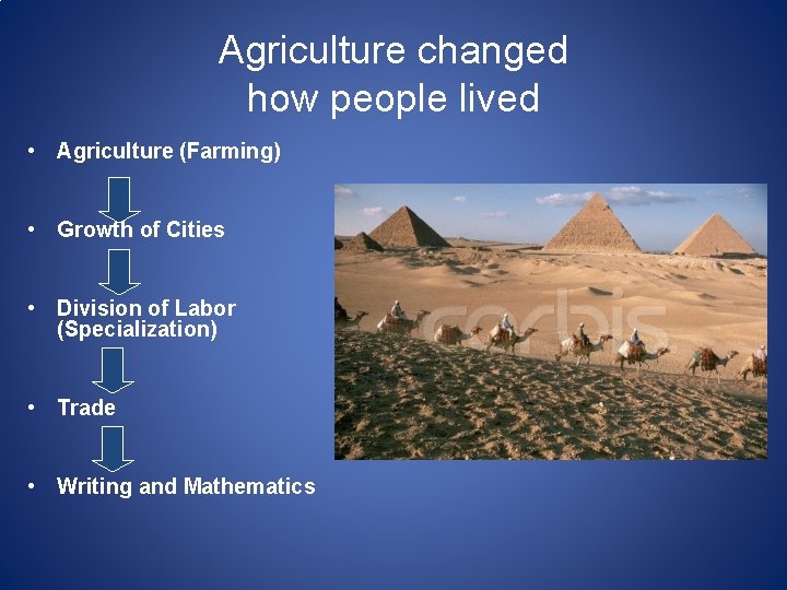 Agriculture changed how people lived • Agriculture (Farming) • Growth of Cities • Division
