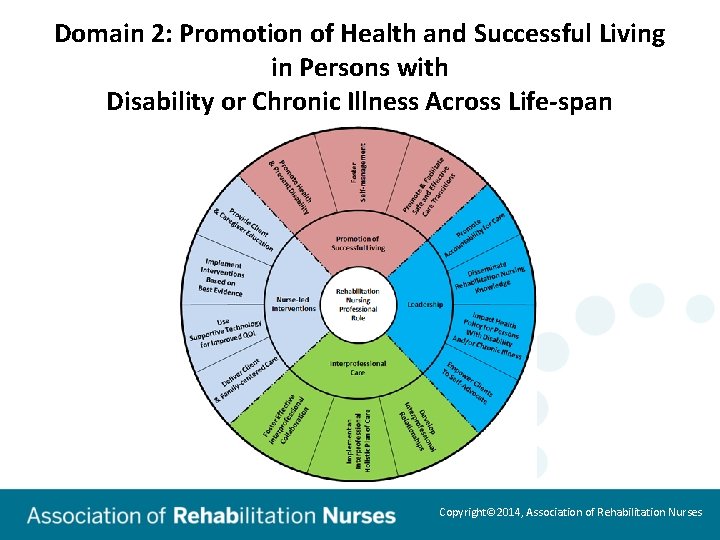 Domain 2: Promotion of Health and Successful Living in Persons with Disability or Chronic