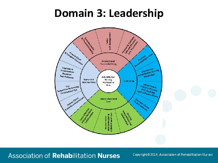 Domain 3: Leadership Copyright© 2014, Association of Rehabilitation Nurses 