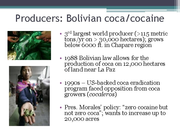Producers: Bolivian coca/cocaine • 3 rd largest world producer (>115 metric tons/yr on >