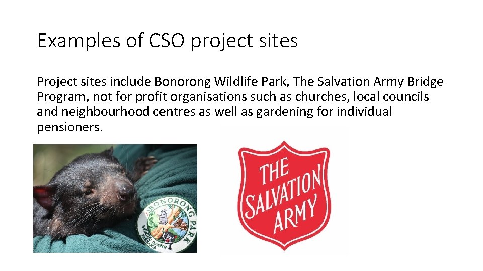 Examples of CSO project sites Project sites include Bonorong Wildlife Park, The Salvation Army