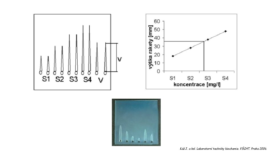 Káš J. a kol. Laboratorní techniky biochemie. VŠCHT. Praha 2006 