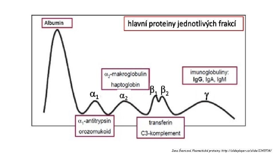 Jana Švarcová. Plazmatické proteiny. http: //slideplayer. cz/slide/2345714/ 