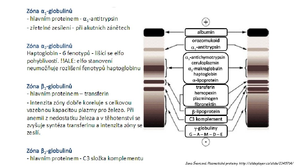 Jana Švarcová. Plazmatické proteiny. http: //slideplayer. cz/slide/2345714/ 