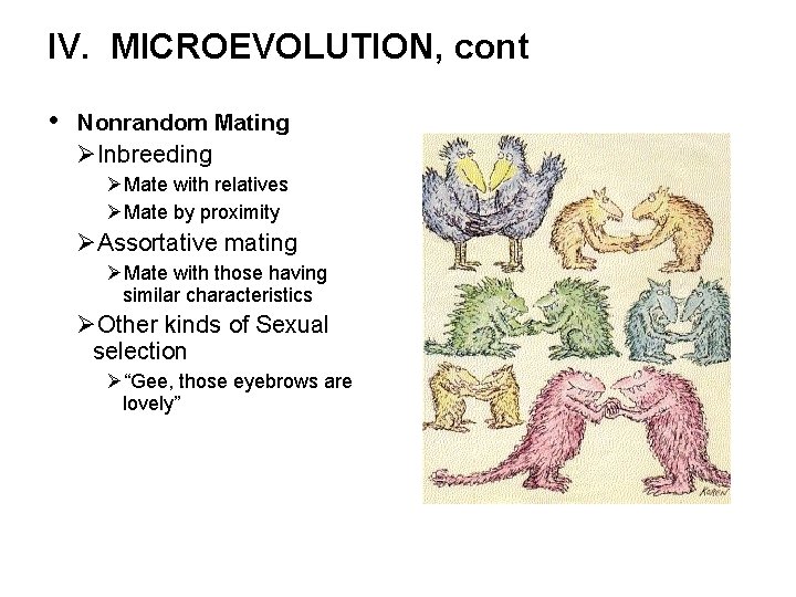 IV. MICROEVOLUTION, cont • Nonrandom Mating ØInbreeding ØMate with relatives ØMate by proximity ØAssortative