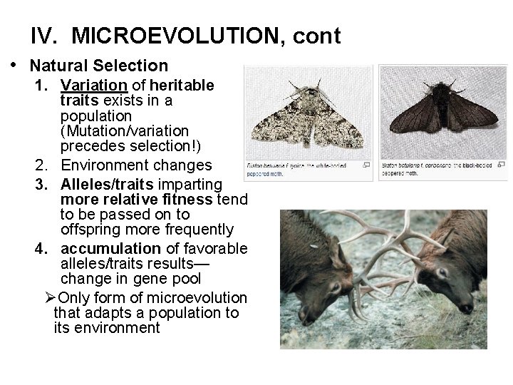 IV. MICROEVOLUTION, cont • Natural Selection 1. Variation of heritable traits exists in a