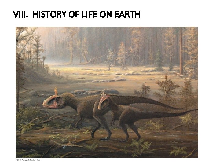 VIII. HISTORY OF LIFE ON EARTH 