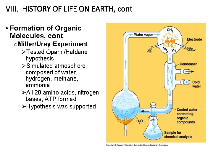 VIII. HISTORY OF LIFE ON EARTH, cont • Formation of Organic Molecules, cont o.