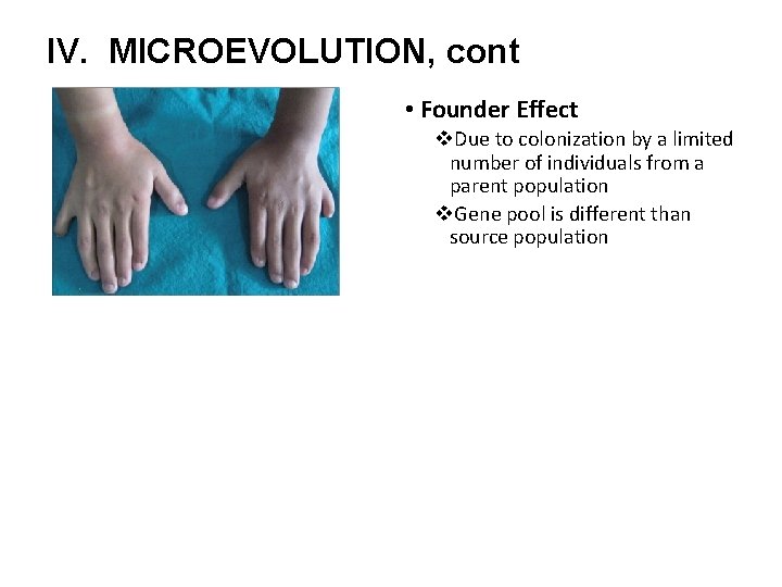 IV. MICROEVOLUTION, cont • Founder Effect v. Due to colonization by a limited number