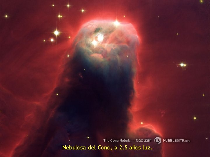 Nebulosa del Cono, a 2. 5 años luz. 