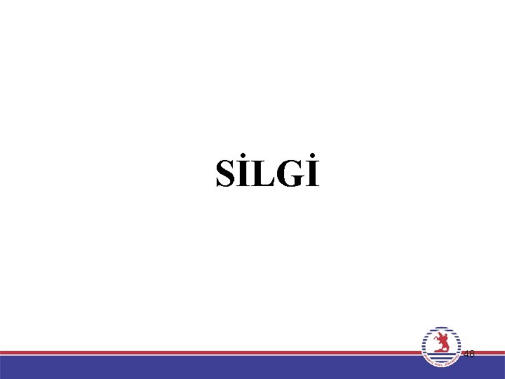 SİLGİ 48 