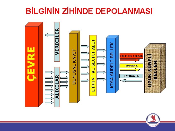 VERİCİLER KISA SÜRELİ BELLEK DİKKAT VE SEÇİCİ ALGI DUYUSAL KAYIT ALICILAR ÇEVRE ZİHİNSEL TEKRAR