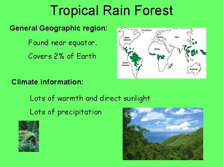 Tropical Rain Forest General Geographic region: Found near equator. Covers 2% of Earth Climate