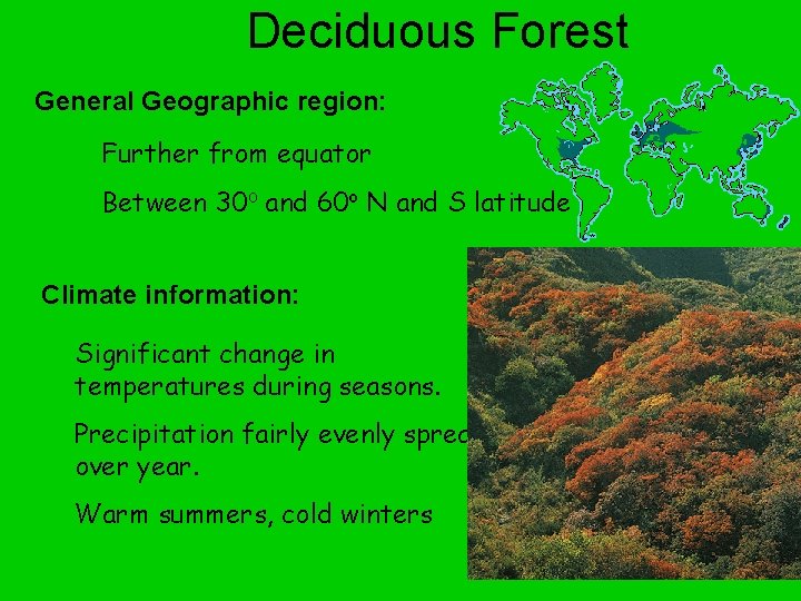 Deciduous Forest General Geographic region: Further from equator Between 30 o and 60 o