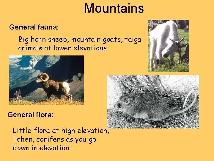 Mountains General fauna: Big horn sheep, mountain goats, taiga animals at lower elevations General