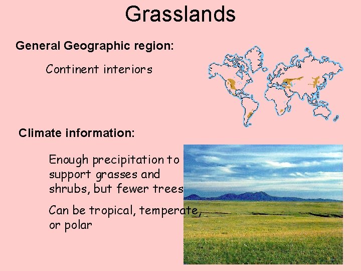 Grasslands General Geographic region: Continent interiors Climate information: Enough precipitation to support grasses and
