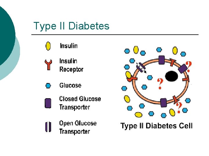 Type II Diabetes 