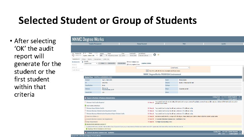 Selected Student or Group of Students • After selecting ‘OK’ the audit report will