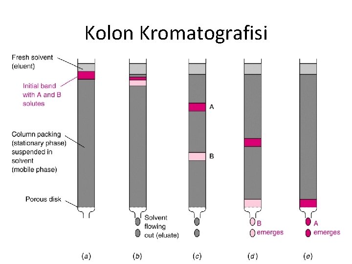 Kolon Kromatografisi 