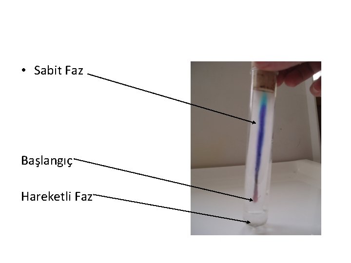  • Sabit Faz Başlangıç Hareketli Faz 