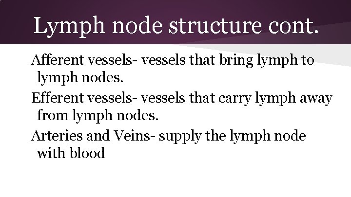 Lymph node structure cont. Afferent vessels- vessels that bring lymph to lymph nodes. Efferent
