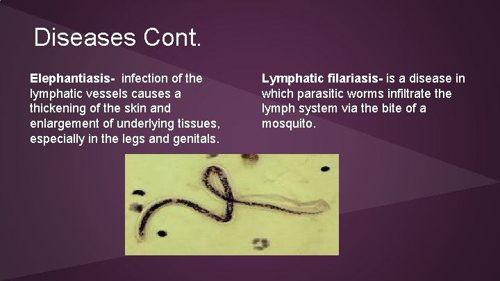 Diseases Cont. Elephantiasis- infection of the lymphatic vessels causes a thickening of the skin