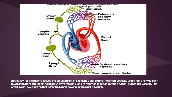 About 10% of the plasma leaves the bloodstream in capillaries and enters the lymph