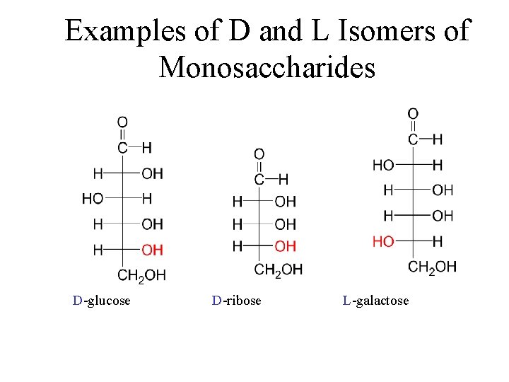 Examples of D and L Isomers of Monosaccharides D-glucose D-ribose L-galactose 