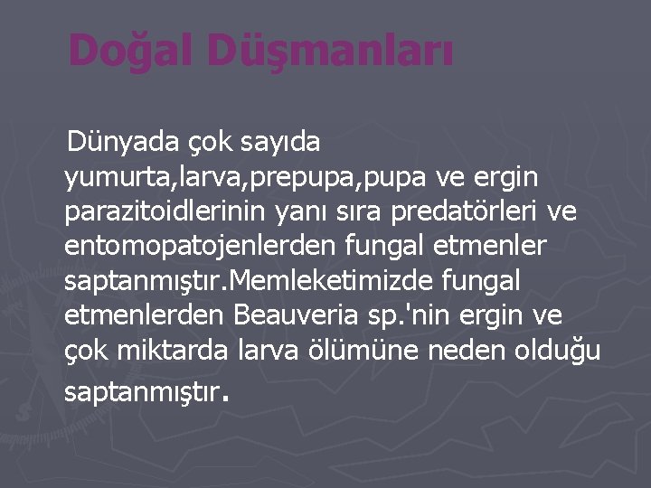 Doğal Düşmanları Dünyada çok sayıda yumurta, larva, prepupa, pupa ve ergin parazitoidlerinin yanı sıra