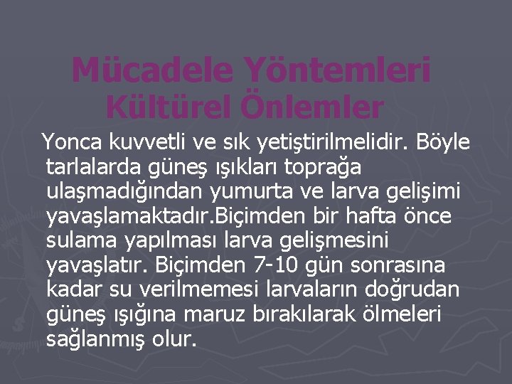 Mücadele Yöntemleri Kültürel Önlemler Yonca kuvvetli ve sık yetiştirilmelidir. Böyle tarlalarda güneş ışıkları toprağa