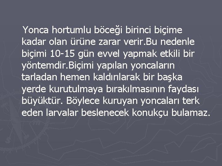 Yonca hortumlu böceği birinci biçime kadar olan ürüne zarar verir. Bu nedenle biçimi 10