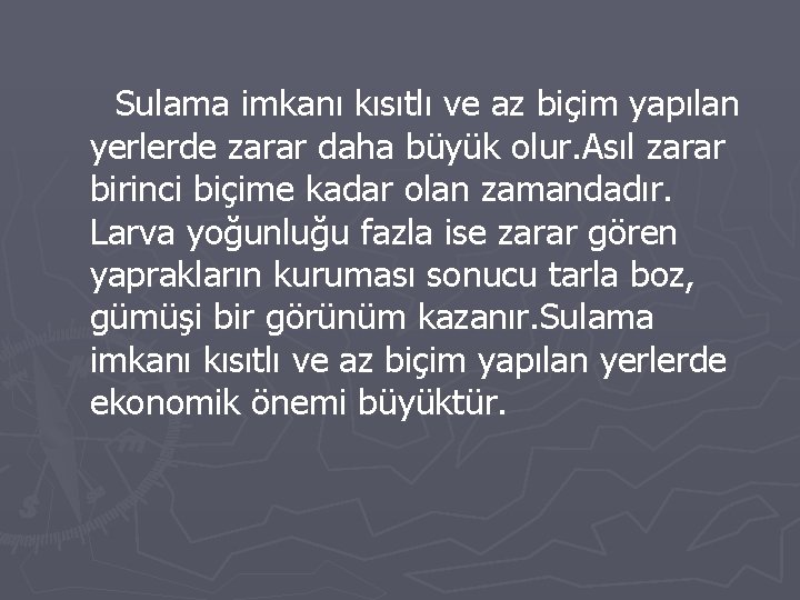 Sulama imkanı kısıtlı ve az biçim yapılan yerlerde zarar daha büyük olur. Asıl zarar