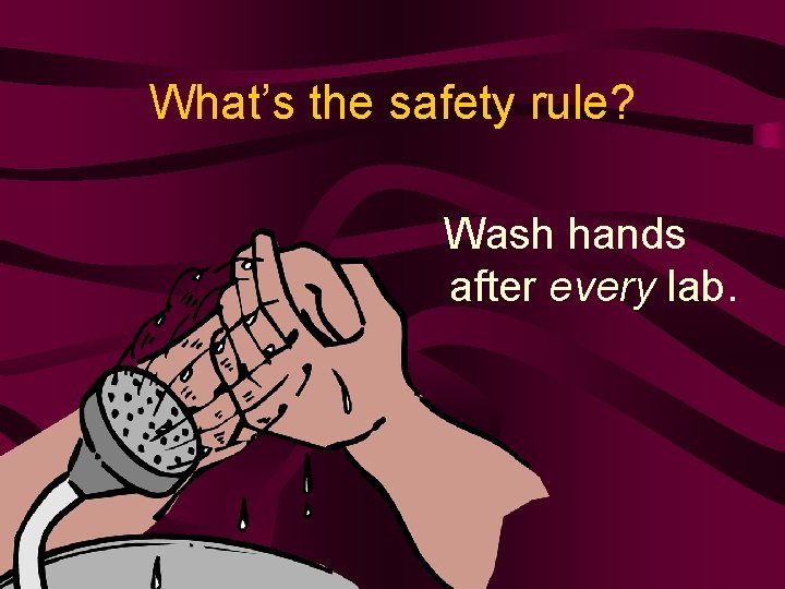 What’s the safety rule? Wash hands after every lab. 