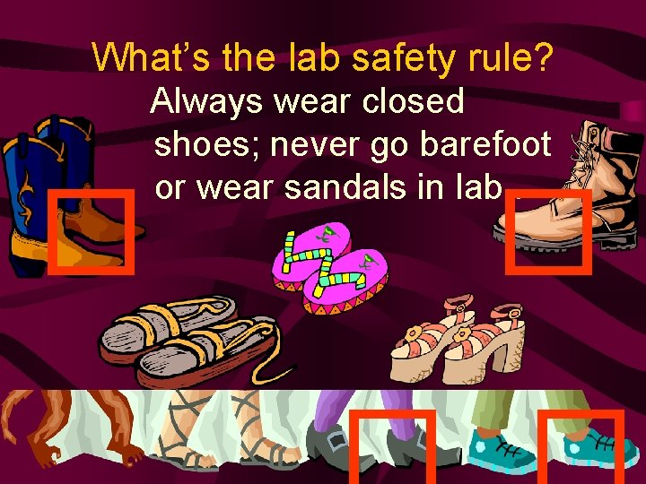 What’s the lab safety rule? � Always wear closed shoes; never go barefoot or