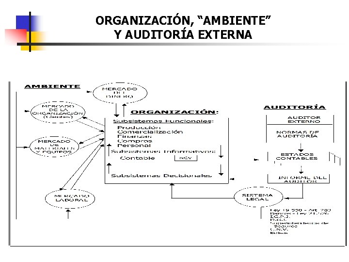 ORGANIZACIÓN, “AMBIENTE” Y AUDITORÍA EXTERNA 