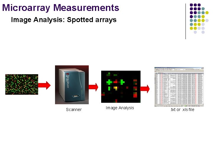 Microarray Measurements Image Analysis: Spotted arrays Scanner Image Analysis . txt or. xls file