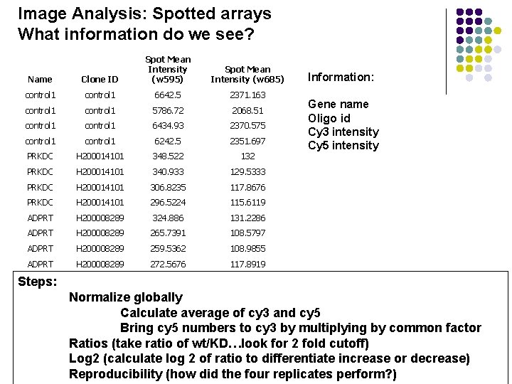 Image Analysis: Spotted arrays What information do we see? Name Clone ID Spot Mean