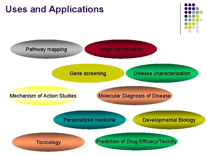 Uses and Applications Pathway mapping Target identification Gene screening Mechanism of Action Studies Molecular