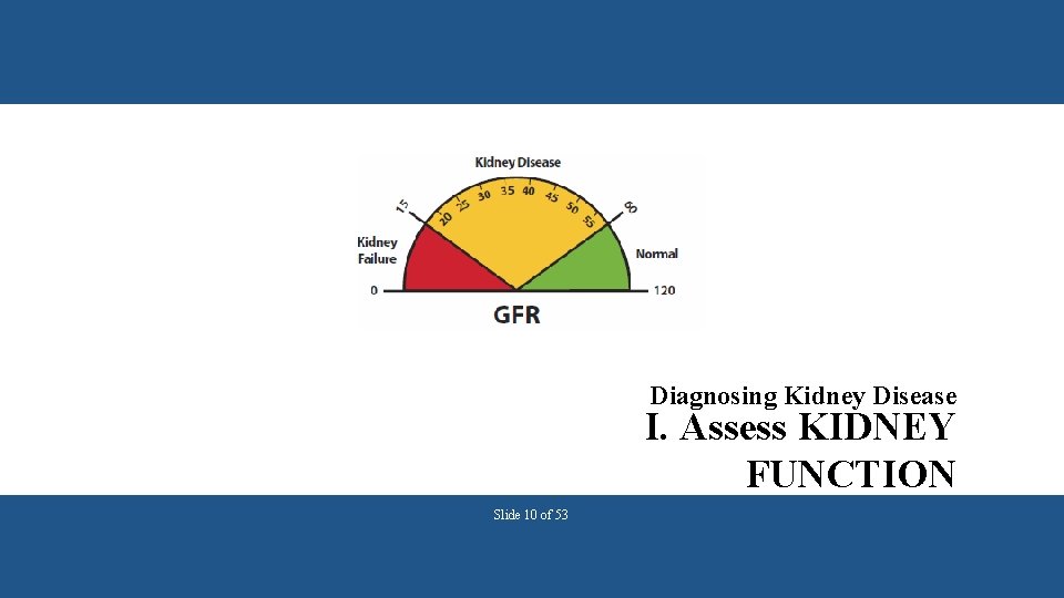 Diagnosing Kidney Disease I. Assess KIDNEY FUNCTION Slide 10 of 53 